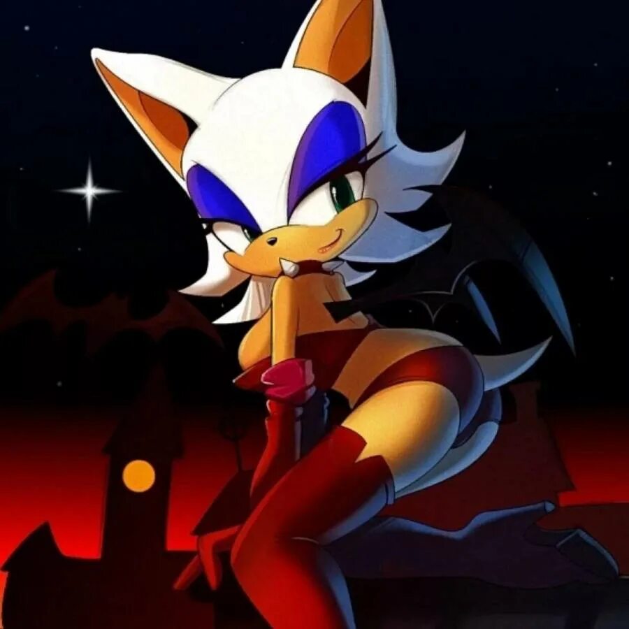 Летучая мышь руж. Летучая мышь руж и соник. Rouge the bat 18. Летучая мышь руж 18. Летучая мышь руж.