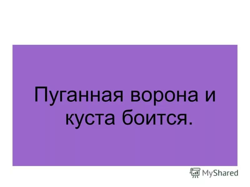 Пословица и куста боится