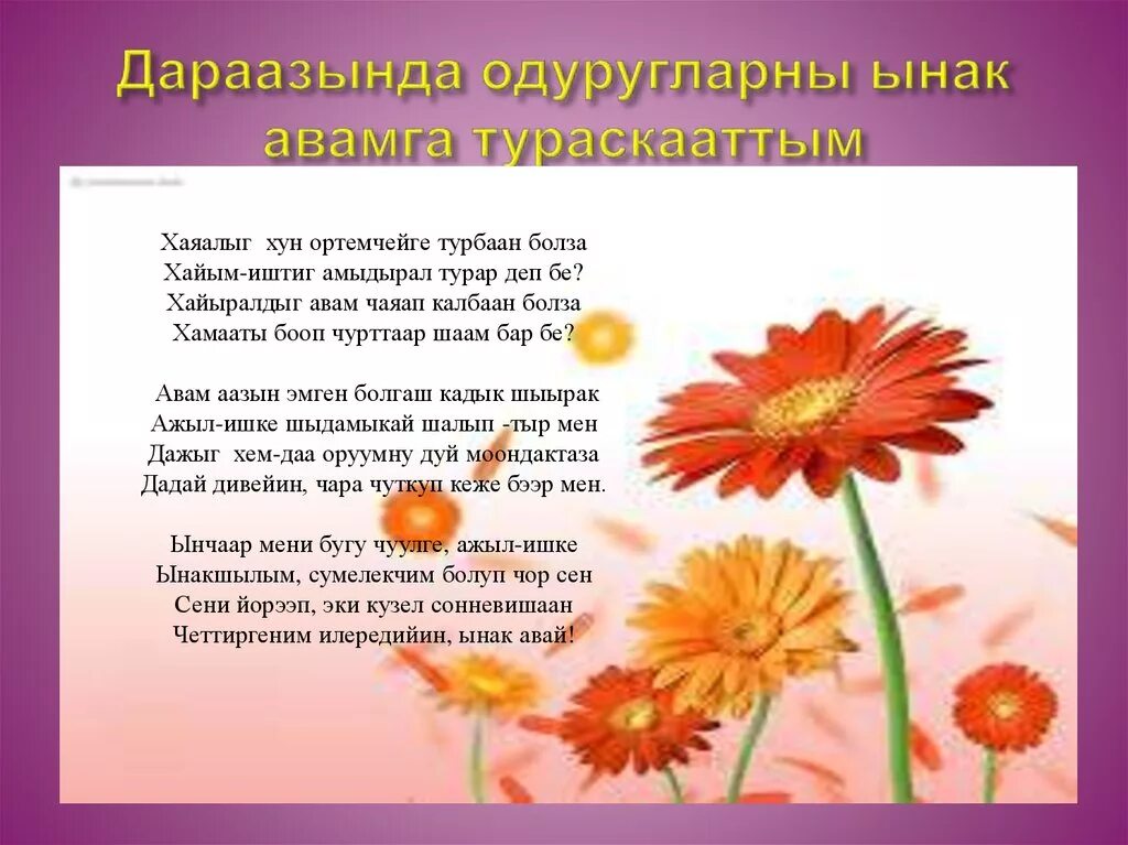 Тыва шулуктер ава. Ынак авамга. торуттунген хун. торуттунген хунунер биле. чараш состер торуттунген хунун.