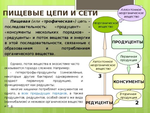 Потребляют органические вещества запасенные продуцентами. Автохтонное органическое вещество. Аллохтонное органическое вещество. Минералы неорганические соединения пищевая цепь. Автохтонные и аллохтонные вещества.