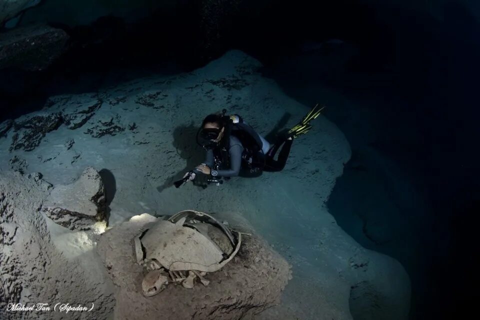 блю холл барбара диллинджер. дахаб кладбище дайверов. барбара блю холл дахаб. подводное кладбище риф. голубая дыра дахаб кладбище дайверов.