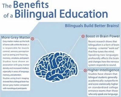 Languages in higher education