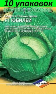 Сорт капусты юбилей