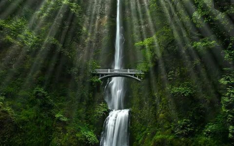 Natural fall