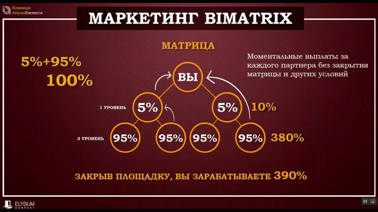 Маркетинговые матрица. Маркетинг план сетевой компании. Схема сетевого бизнеса. Сетевой маркетинг структура. Матрица маркетинг.