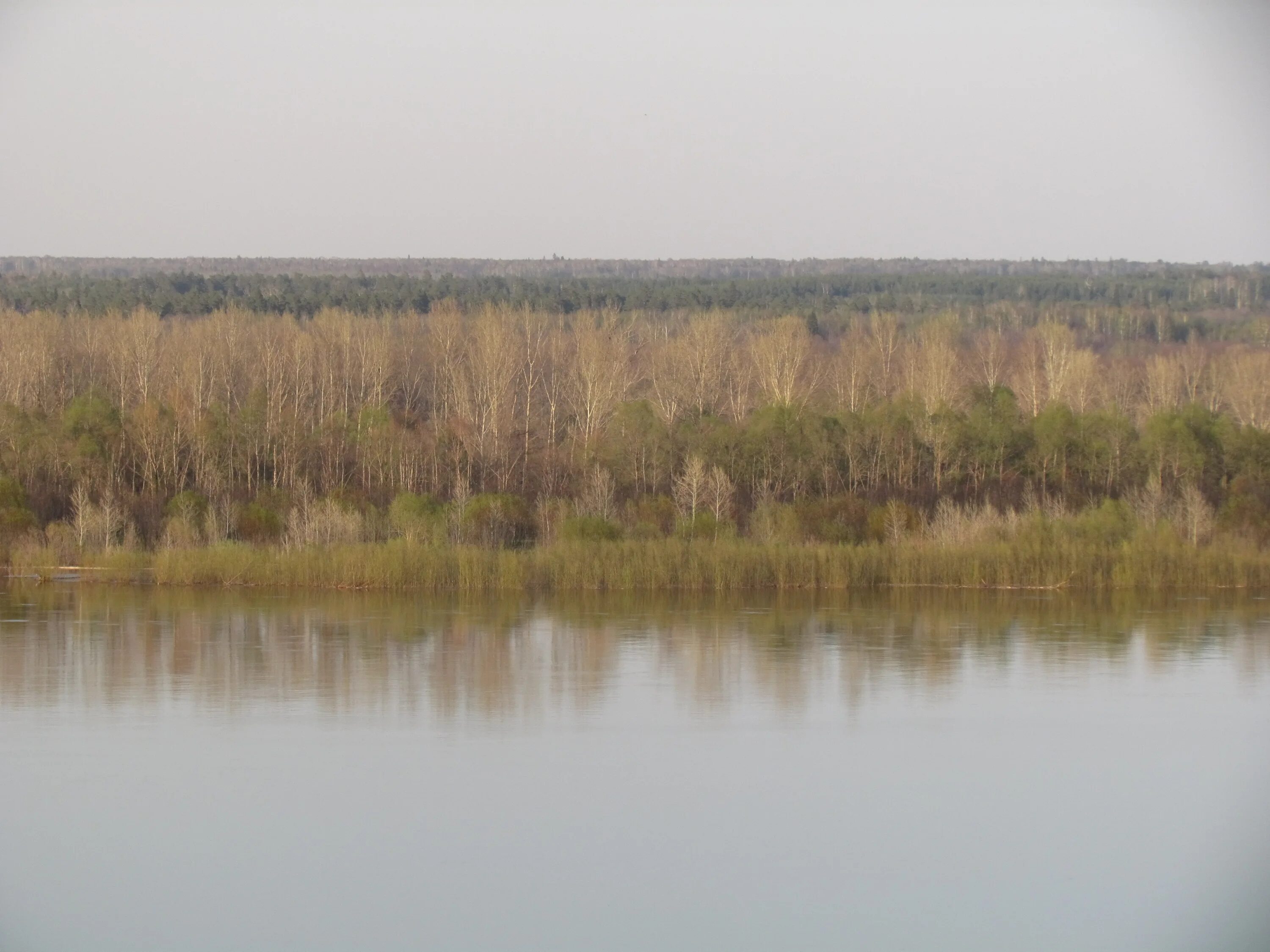 Погода татарской тулбе. Татарская Тулба Кукморского района. Лубяны Татарстан. П Лубяны Кукморский район Татарстан. Деревня Лубяне Кировская область.