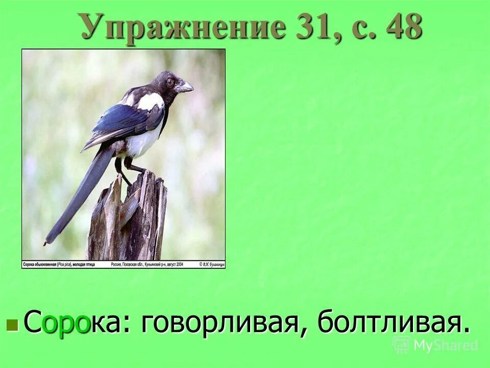 в каком месяце болтливая девочка