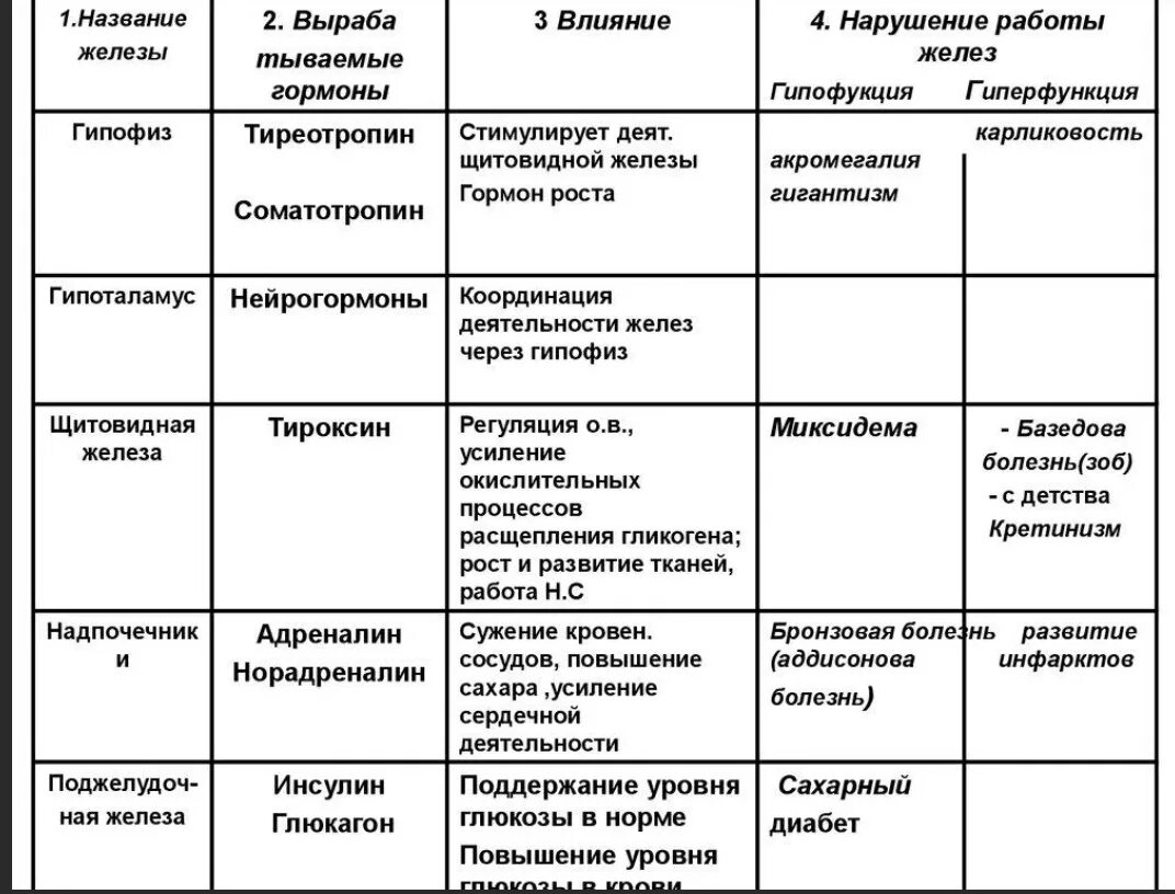 Участвует в выработке адреналина железа. Железы внутренней секреции гормоны функции таблица. Железы внутренней секреции таблица железа гормон функция. Таблица желез внутренней секреции 8 класс биология. Функции желез внутренней секреции таблица железа гормон.