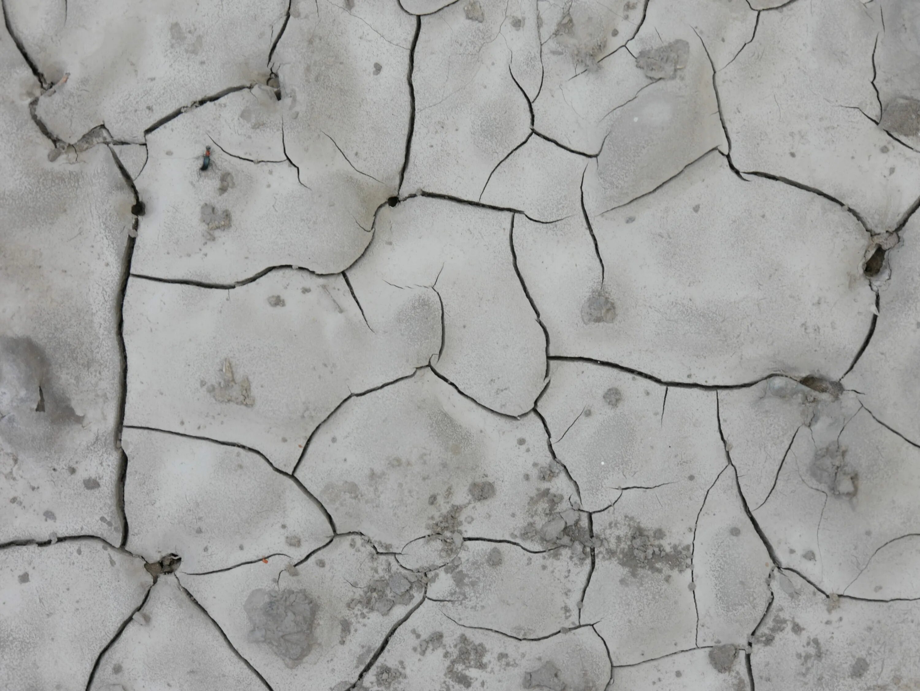 Ground crack. Ground cracks texture. Грунт текстура. Почва текстура. Ground crack.