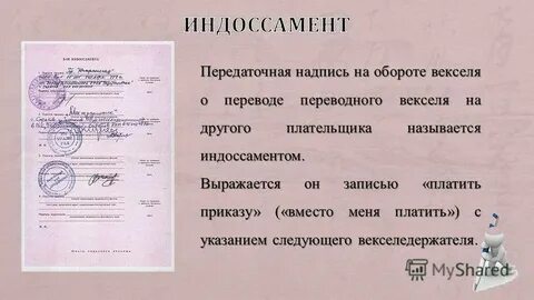 Документ лицо и оборот