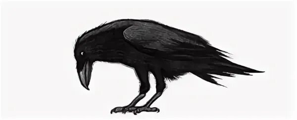 Ворон 5 8