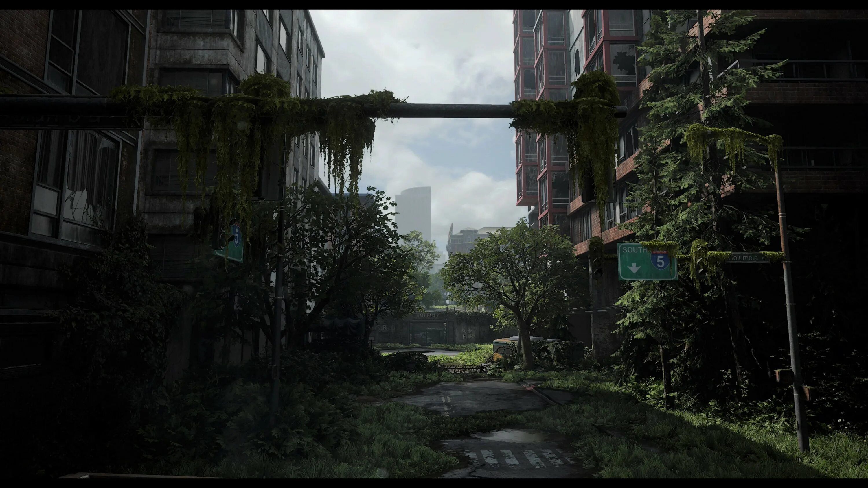 The last of us 2 фон. The last of us 2 природа. Ласту фаст на пк