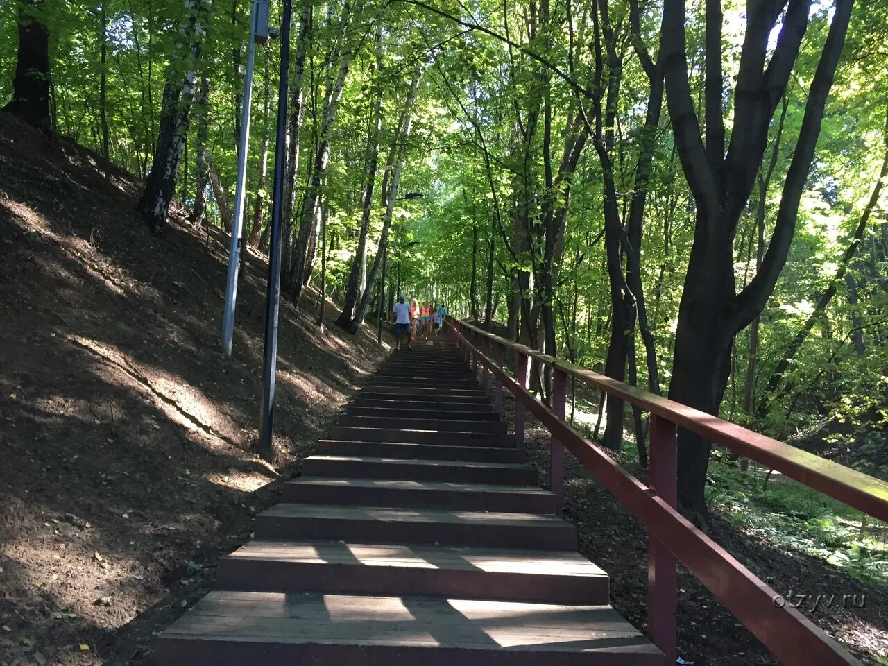 Тропа здоровья вднх. Экотропа лосиный остров. Пешая тропа в москве. Парк останкино экотропа. Экотропа андреевские пруды.