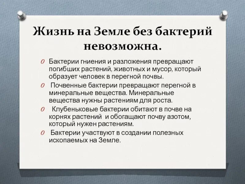 Бактерии разложения и гниения. Характеристика бактерий гниения. Почему жизнь на земле невозможна без бактерий. Бактерии разложения и гниения в почве. Роль бактерий гниения в природе