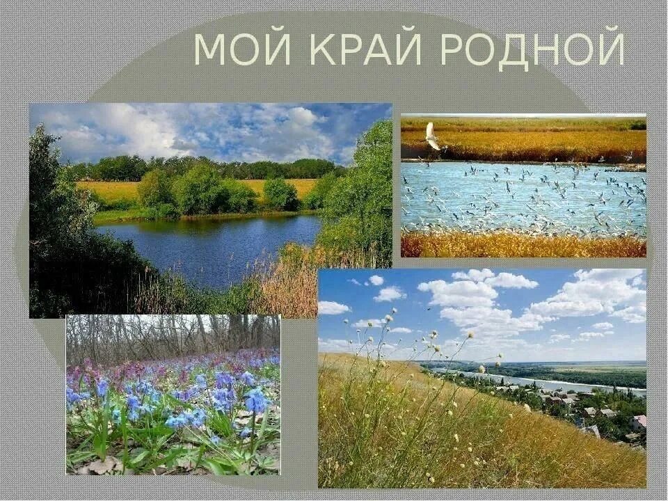 Мой родной край. Родина родной край. Край мой родной край. Природа моего родного края. Красота родного края рассказ