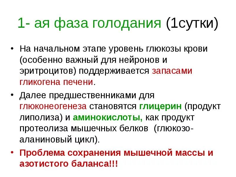 Даты голода. Голодание 1/1. Процессы при голодании по дням. Период голодания биохимия. При голодании уровень Глюкозы.