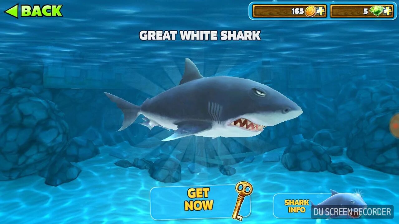 Чит на игру акула. Hungry shark белая акула. белая акула хангри шарк эволюшн. акула из хангри шарк. hungry shark evolution белая акула.