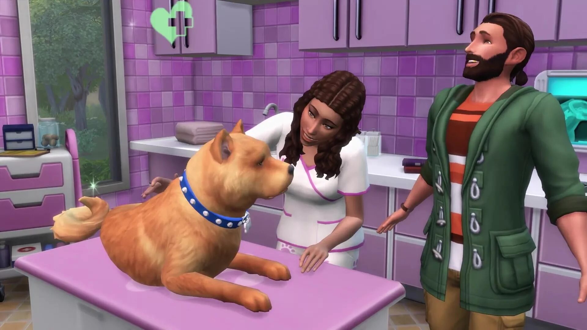 Дополнение симс 4 кошки и собаки. Sims 4 собаки. симс 4 кошки и собаки. sims 4 кошка. игра the sims 4 собаки.