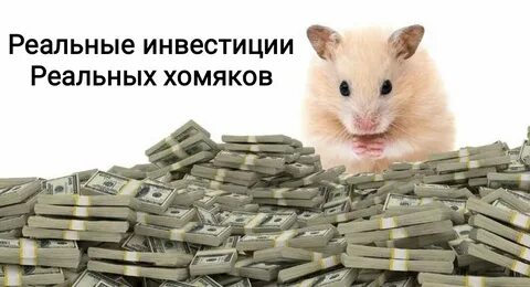 Какая валюта в хомяке