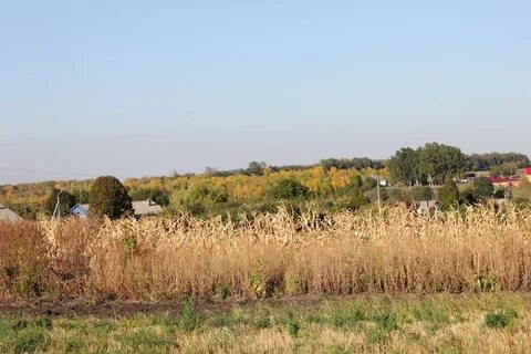 Погода белгородская шебекинский зимовное