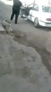 В бразилии женщина отрезала мужу