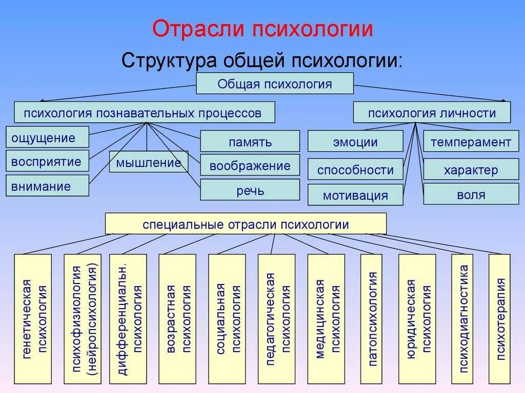 Структура психологии отрасли психологии. Структурно-логическая схема отрасли психологии. Отрасли современной психологии схема. Основные отрасли современной психологической науки