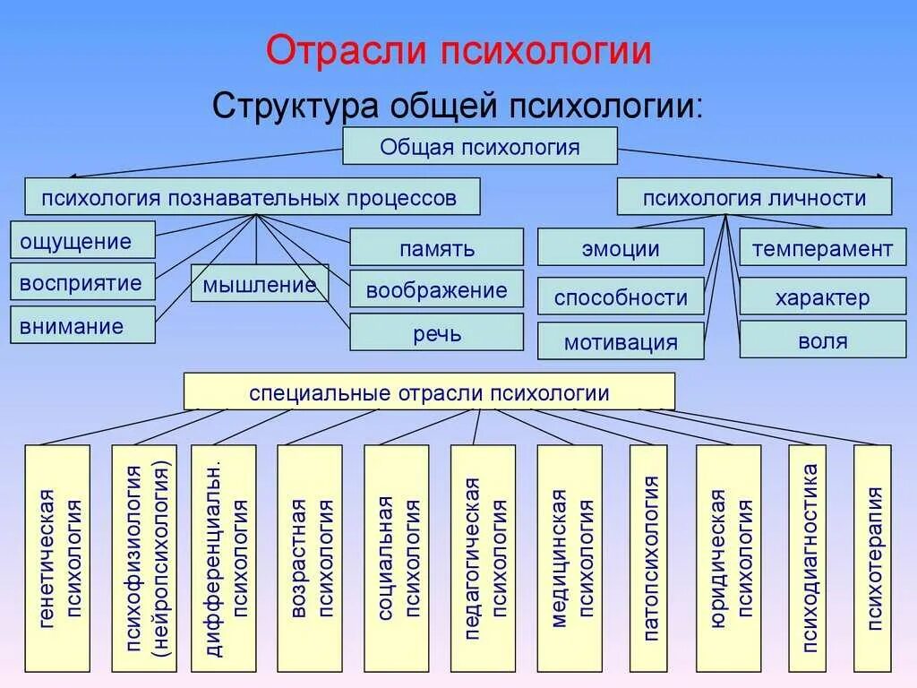 Группы прикладных методов. Структурно-логическая схема отрасли психологии. Основные отрасли психологических знаний кратко. Фундаментальные отрасли психологии. Схема отраслей психологической науки.