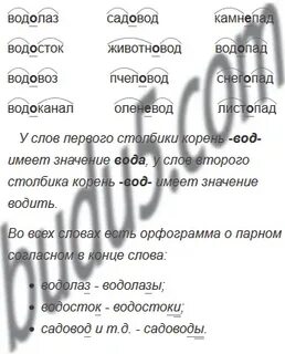 Сложные слова выделить корень