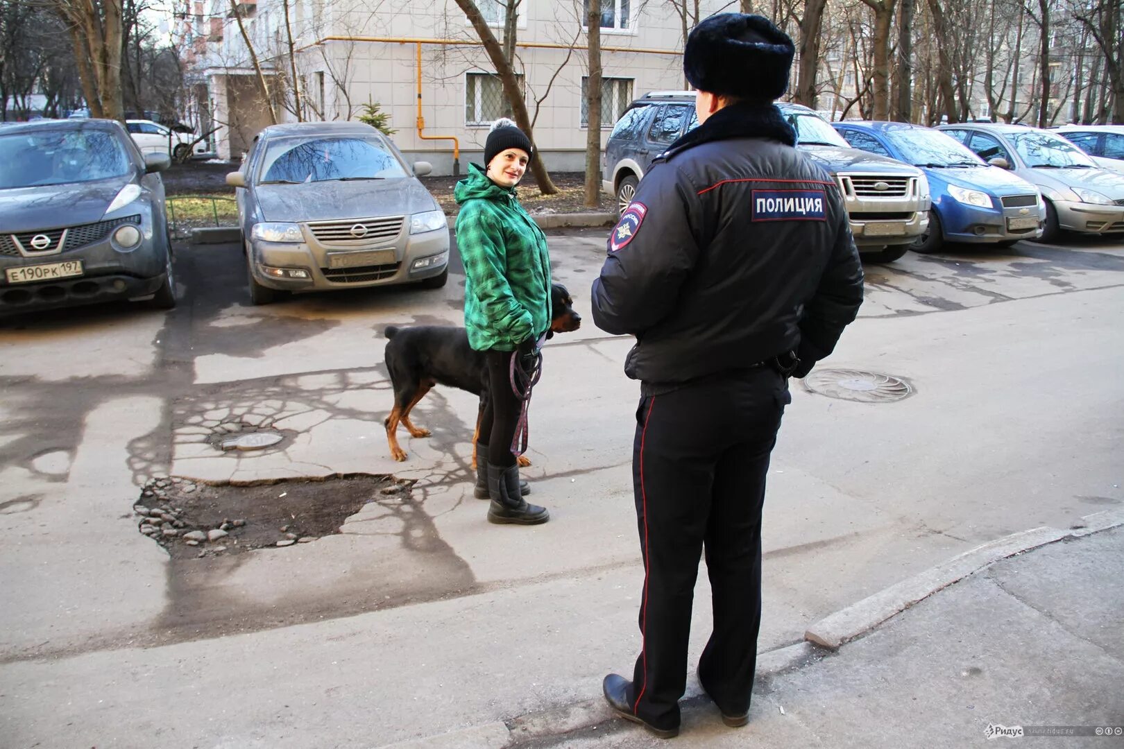 Где живут полиция. Полицейский на улице. Полиция подходит на улице. Полицейский проверяет документы. Полицейский подходит.