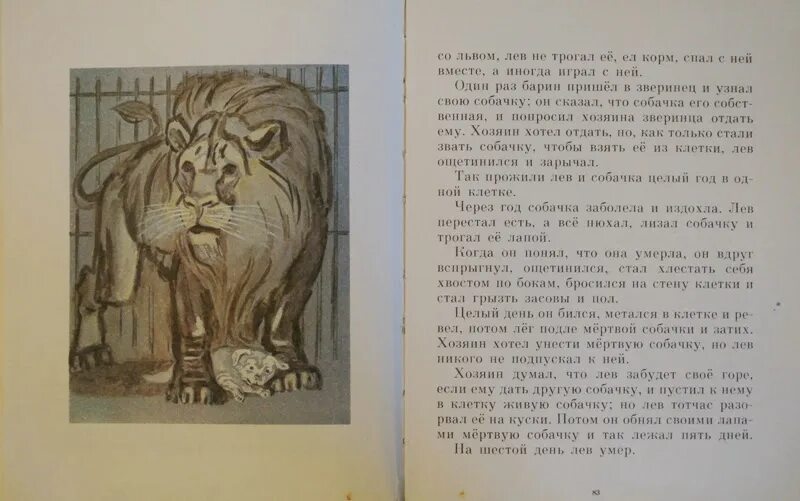 Лев и собачка краткое содержание. Азбука лев толстой лев рассказ. л н толстой рассказы из русской азбуки читать онлайн. рассказ лев и собачка распечатать. лев и собачка лев ощетинился.