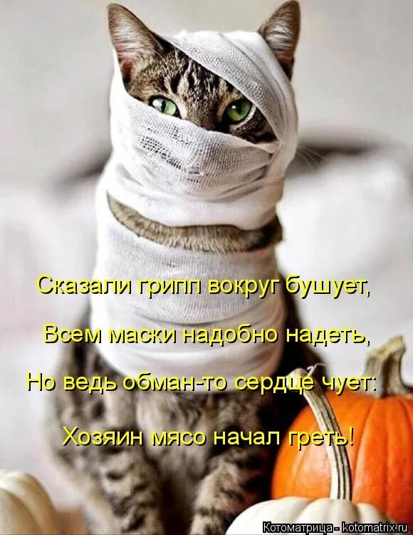 Батарея тепло. Начало греть. Тепло. Начало греть. Как только солнце начинает греть по-летнему нам не сидится на месте.