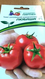 Характеристика сорта томата любаша