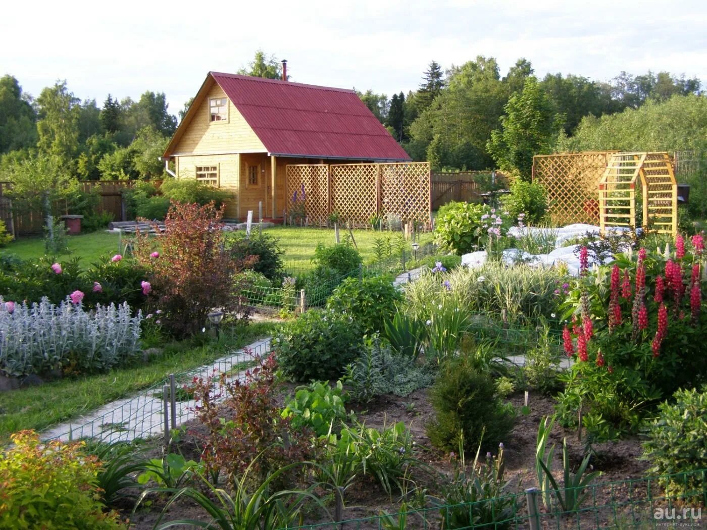 Огород на даче. Расчистка дачных участков. Кедровка кушва. Домик садовника проект. Дом садовода.