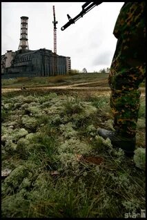 Сталкеры в чернобыле реально