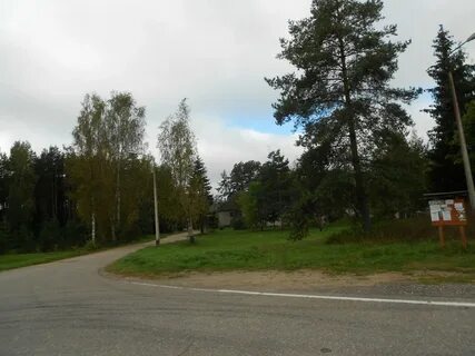 Погода в боровке
