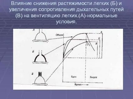 Как влияет уменьшение