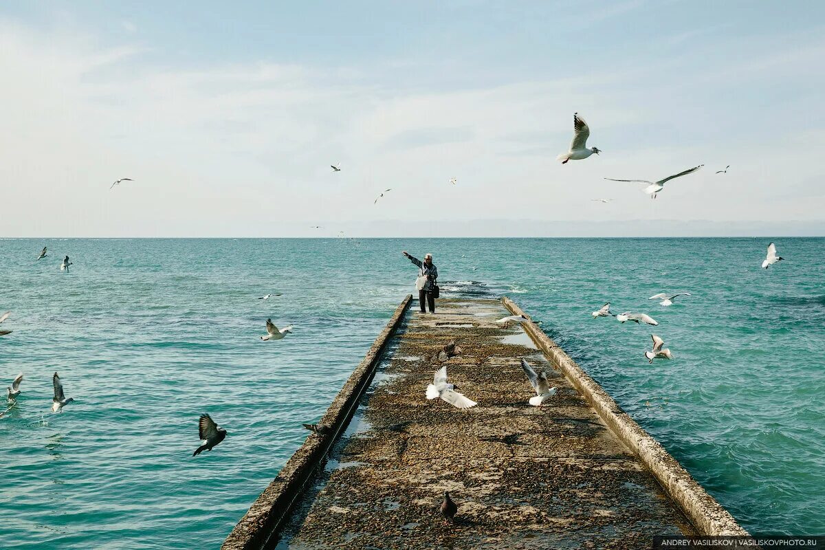 Сочи весной море. На недельку в Сочи. Межсезонье картинки Сочи. Махнем на недельку в Сочи.