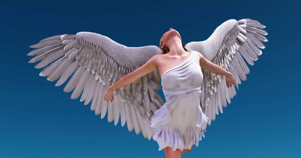 Небесные ангелы. Сказочная птица. Ангелов ангел ангелович. Фэнтези птицы. Полёт души.