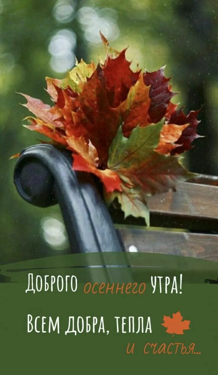 Доброе утречко осень сентябрь. Доброе утро осень. Доброе осеннее утро. С добрым утром осенним утром. Доброе утро осень 2022