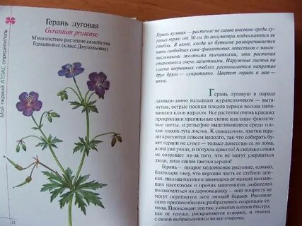 Герань книги