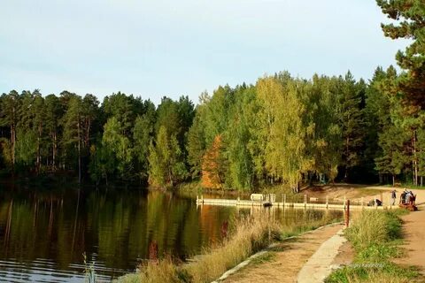 Карагайский бор