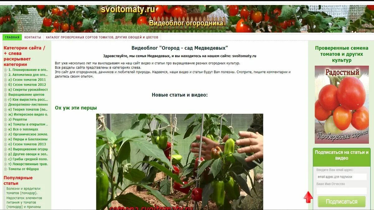 Сад медведевых. Сад медведева томаты. Сад медведевых. Проверенные сорта томатов от медведева. Лидер огорода сорт.