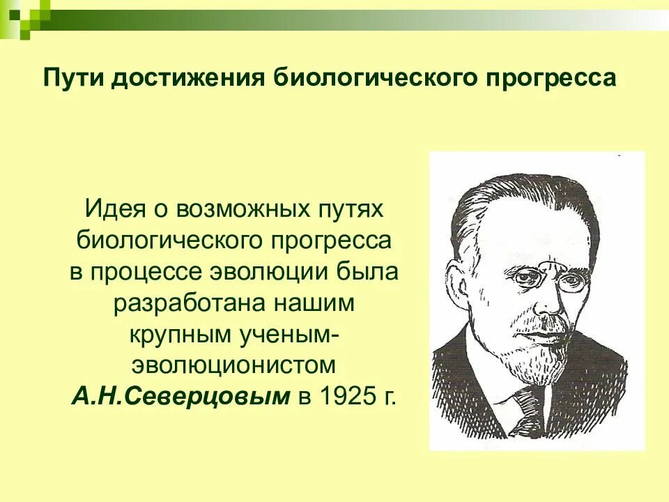 Пути достижения эволюции. Ути достижения биологического прогресса&quot;. основные пути достижения биологического прогресса. пути достижения биологического прогресса таблица. пути достижения биологического прогресса северцов.