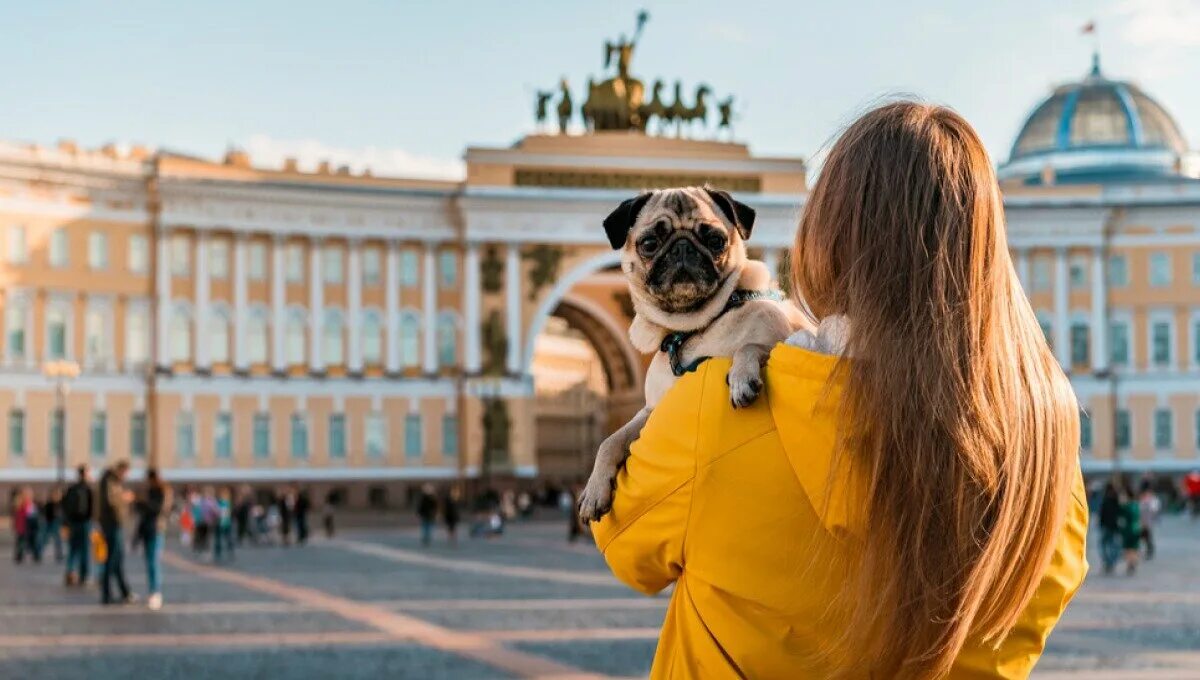 Курортный сбор в санкт петербурге что это. Путешественники Петербурга. Туристы в Петербурге. Удивительный Питер. Курортный сбор Петербург.