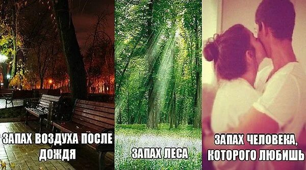 Запах после. Аромат любимого человека. запах любимого человека. запах человека которого любишь. вдыхать твой запах.