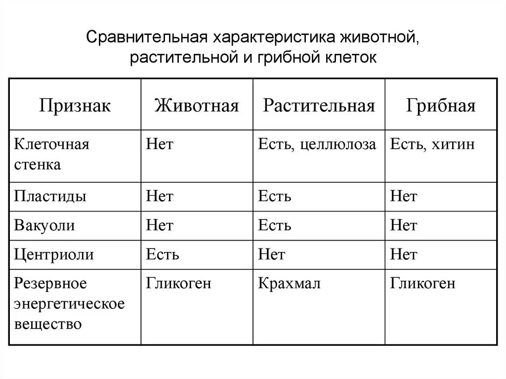 Сравнение клеток организмов. Сравнительная таблица растительной животной и грибной клетки. Сравнение клеток грибов растений и животных таблица. Сравнение животной растительной и грибной клетки таблица. Сравнительная таблица клеток растений животных и грибов.