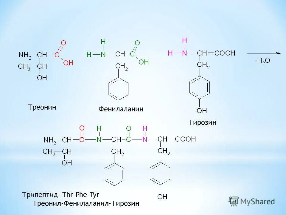 Треонин это