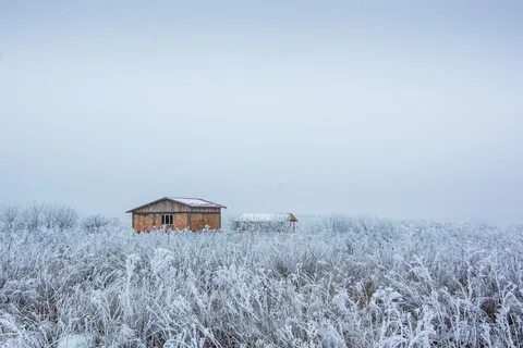 Климат бел