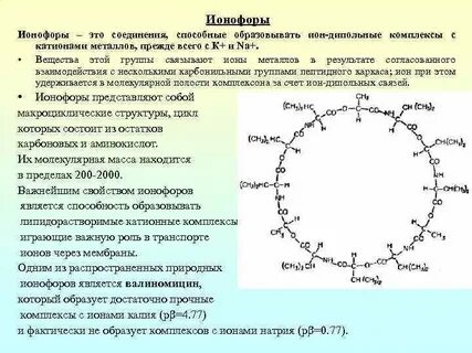 Граммицидин