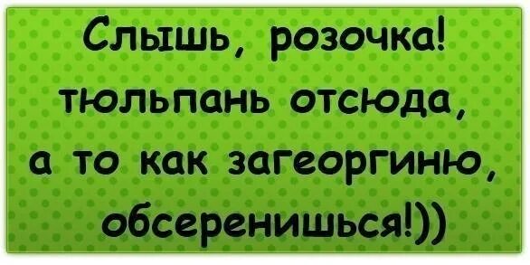 Слышь Розочка тюльпань отсюда. Слышь Розочка тюльпань отсюда а то как загеоргиню обсеренишься. Загеоргиню обсеренишься. Обсеренишься анекдот. Слышь отсюда